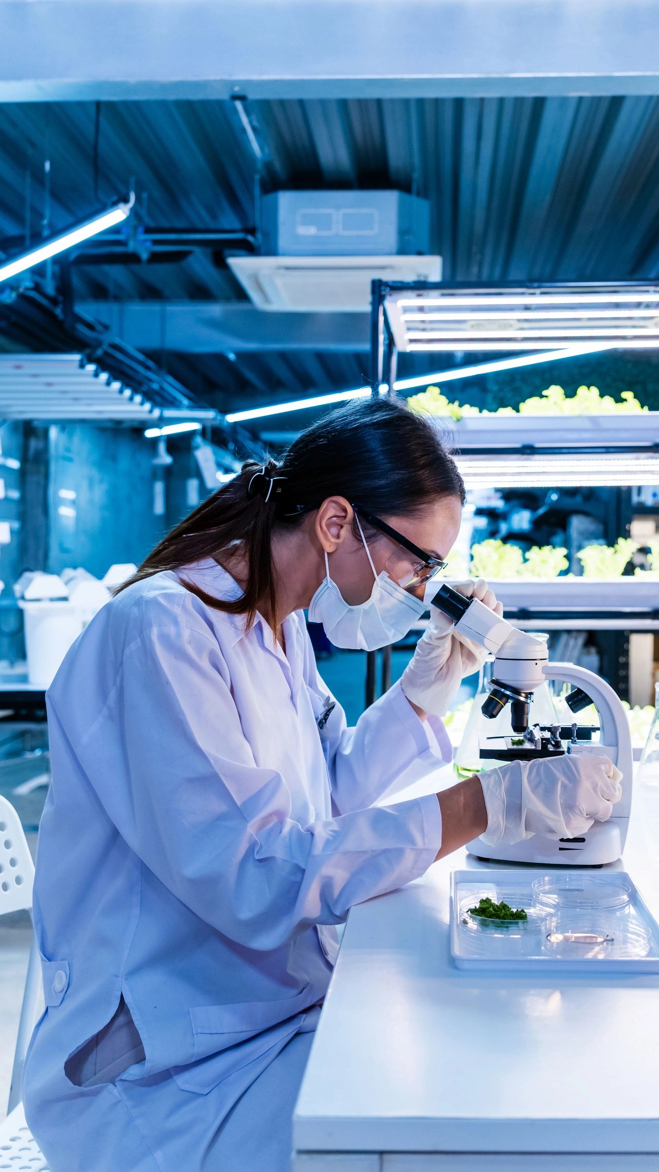 Scientist examining samples under a microscope in a modern laboratory